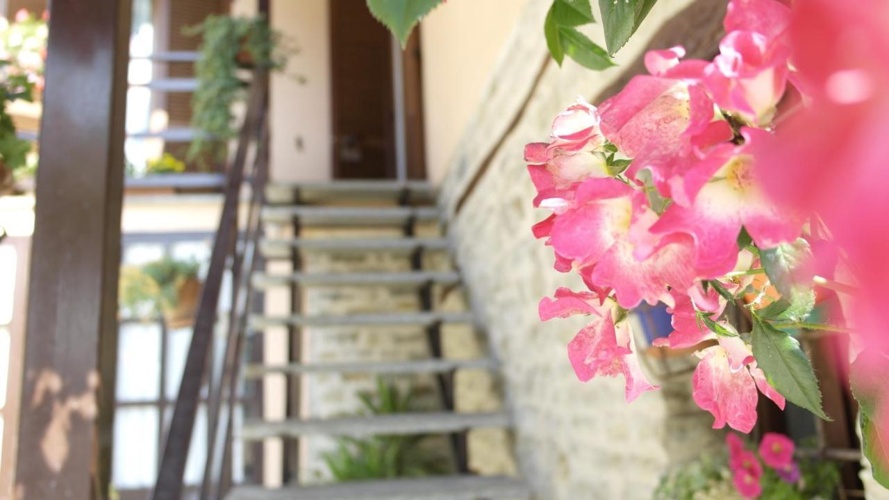 Cit Ni Bed & Breakfast Bosia Exterior photo